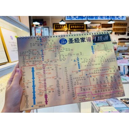 新品上架New Arrivals (2026/1月-2月新到+补货)